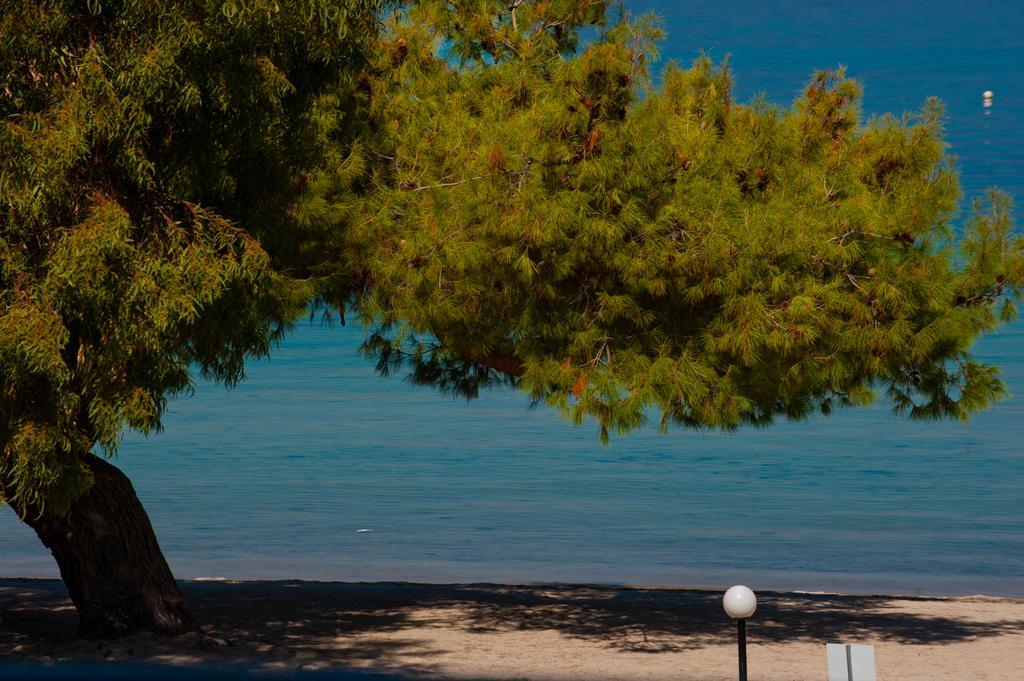 Akti House Psarogiannis Apartments & Studios Vourvourou Buitenkant foto
